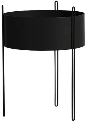Woud Pidestall Krukväxt Stor Svart
